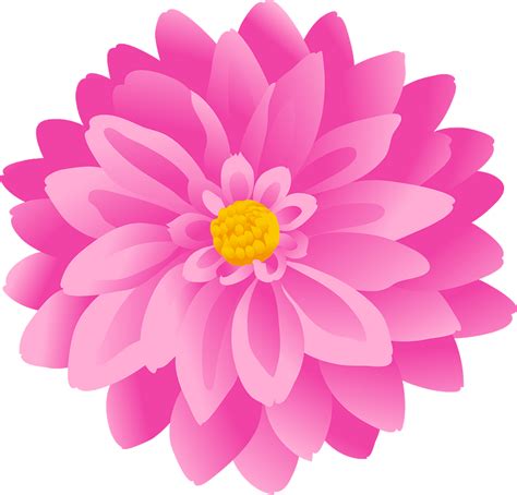 Dahlia Flower Clipart Free Download Transparent Png Creazilla