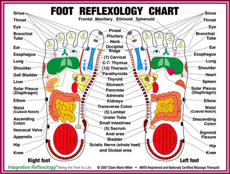 have you tried foot reflexology nourish inside and out