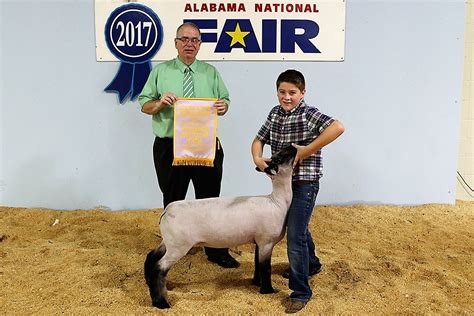 See who's going to alabama national fair 2021 in montgomery, al! Cullman County youths bring home awards from state sheep ...