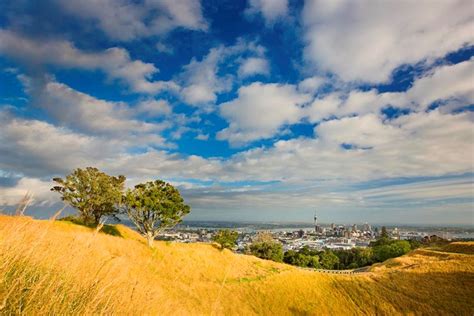 Auckland Highlights Luxury Tour Including Sky Tower Entry Time