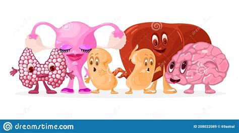 Funny Anatomical Stomach Character Cute Human Internal Organ Mascot