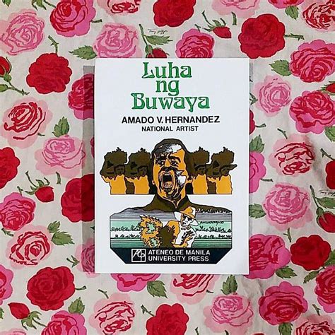 Luha Ng Buwaya By Amado V Hernandez Brandnew Paperback Hobbies