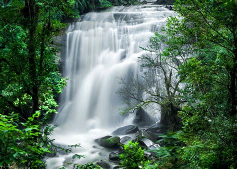 Screensaver Waterfalls Tropical Rainforest