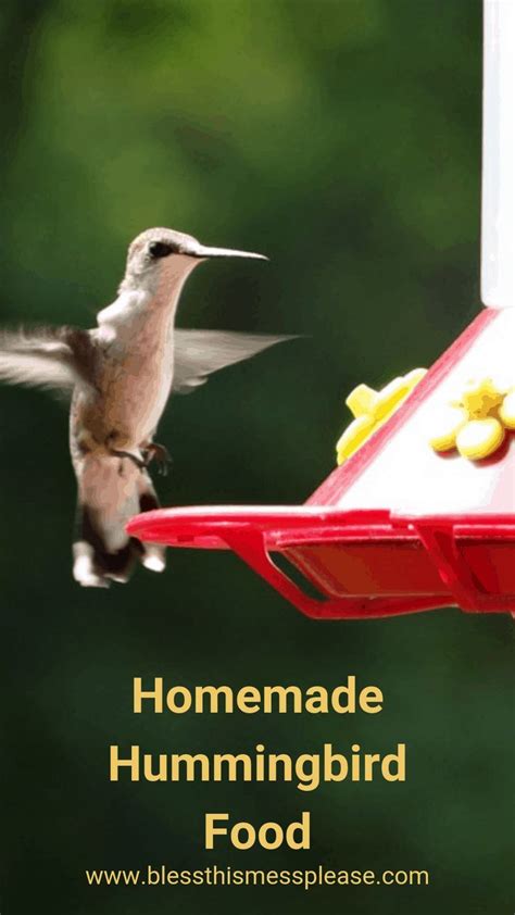 Boiling is only to slow fermentation The Best Homemade Hummingbird Food | Recipe | Homemade ...