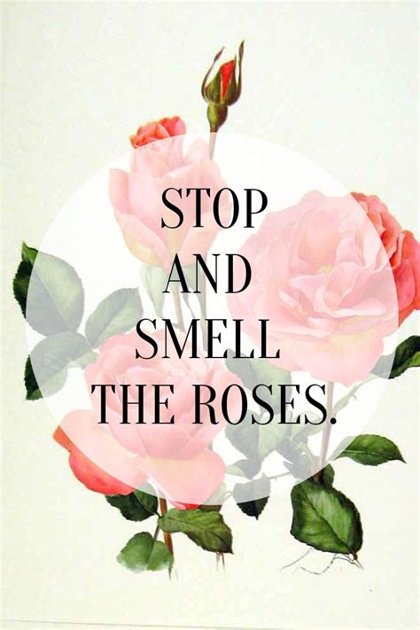 Stop And Smell The Roses Quotes Pinterest Beautiful Soul Wisdom