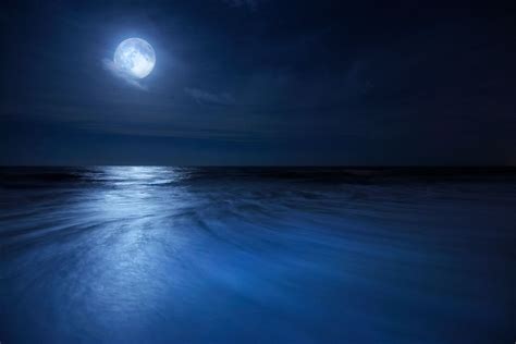 Full Moon Over Beach In Florida Justin Kelefas Fine Art Photography