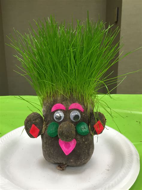Our Grass Head Is A Fun Educational Craft That The Kids Will Love To