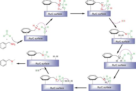 N Dimethylation And N Functionalization Of Amines Using Ru Nanoparticle