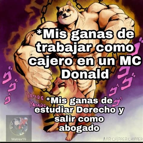 Top Memes De Cheems En Español Memedroid