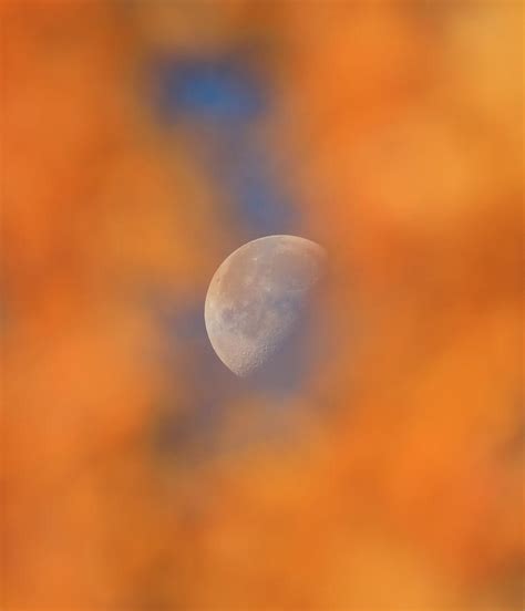 Autumn Moon Photograph By Dan Sproul