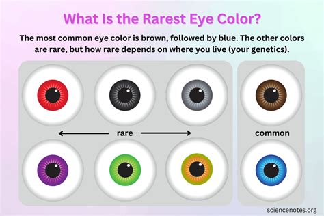 What Is The Rarest Eye Color