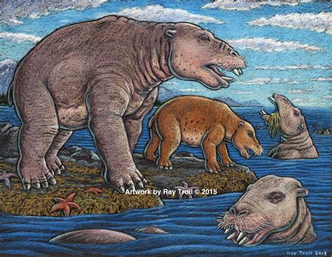 Prehistoric Hippo Sized Marine Mammal Had Jaws That Sucked Like A
