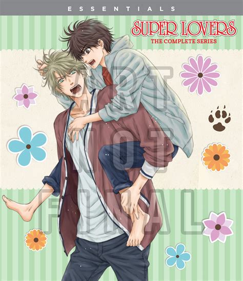 Best Buy Super Lovers The Complete Series Blu Ray
