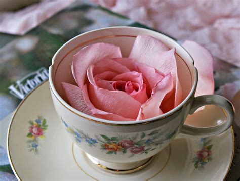 A Little Loveliness Soft Pink Rose In A Tea Cup Is What Were All