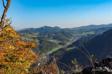 Sokolica Szlak W Kierunku Słynnej Sosny I Piękny Widok Na Pieniny