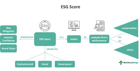 Esg Score Meaning Explained Types How To Calculate