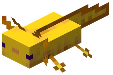 Axolotl Minecraft Adopter Reproduction Couleurs Et Comportement