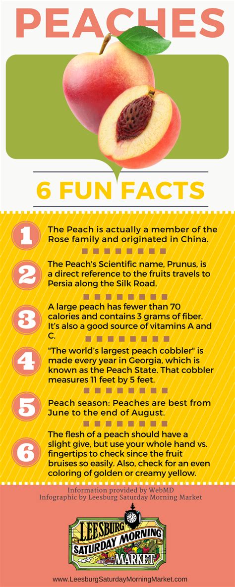 Peaches 6 Fun Facts Fun Facts Prunus Peach