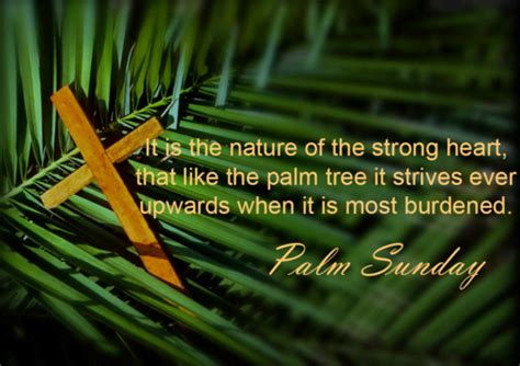 Palm Sunday Pictures Images And Wallpapers 2016 Freshmorningquotes