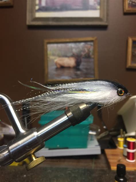 Baitfish Fly Shad Pattern Saltwater Flies Fly Tying Patterns Fly