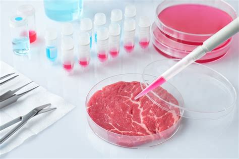 Premium Photo Meat Sample In Open Disposable Plastic Cell Culture