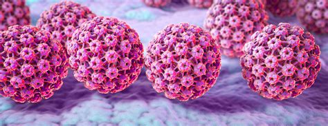 Hpv Hpv And Cervical Cancer What You Need To Know Nih Medlineplus Magazine Clifford G