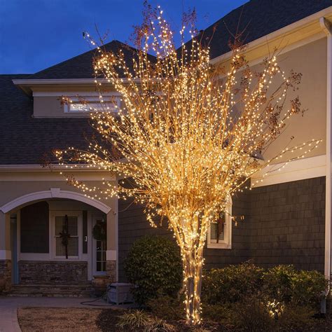 Using Tree Wrap Lights To Create An Outdoor Oasis Outdoor Lighting Ideas