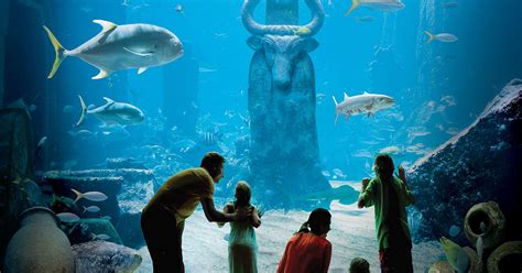 Can I Visit Atlantis Aquarium Without Staying There Aquarium Views