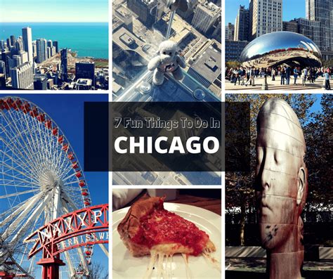 7 Fun Things To Do In Chicago Buddy The Traveling Monkey