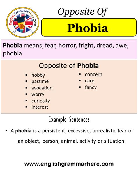 Understanding Phobia Definition And Synonyms Bio Time Inc