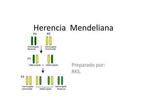 Herencia Mendeliana Ppt