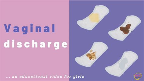 What Is Vaginal Discharge ⏰ Different Colours Of Vaginal Discharge And