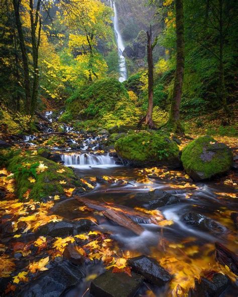 Longexpoelite Wonderful Oregons Nature Landscapes By Steve Schwindt