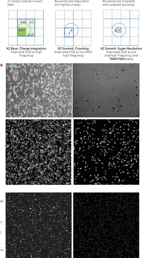 These methods are now applied almost routinely to both membrane and soluble proteins. Figure 5 from Applications of electron-counting direct ...