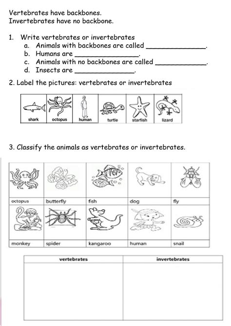 Work sheet on introduction to inverta brate / english. Vertebrates and Invertebrates online worksheet for 2nd