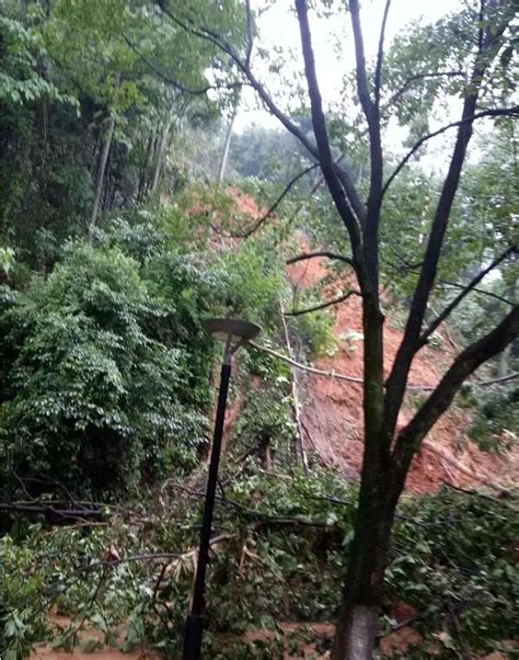 破58年记录！道路塌方！三明告急！福建这些地方将迎更大暴雨！凤凰网