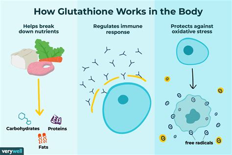 Glutathione Benefits Side Effects And Dosage
