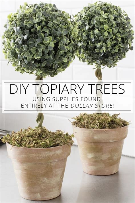 Diy Topiary Trees From Dollar Store Supplies