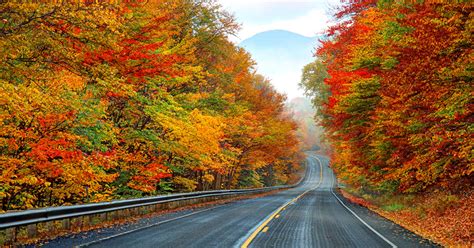 White Mountains Named Best Fall Foliage Destination In Usa Today Poll
