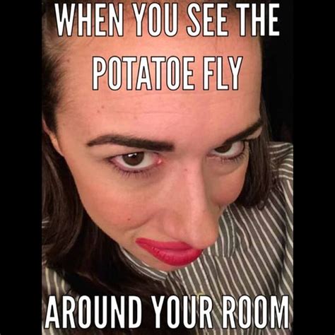 A potato flew around my room. Instagram Analytics | Pinterest | Sheds, Eyes and Miranda ...