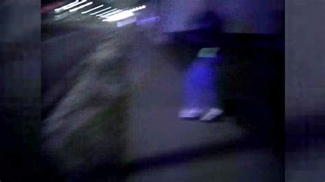 Body Cam Shows Man Running Before Being Shot By Police Abc7 Chicago