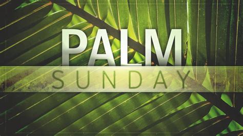 March 25 Palm Sunday The Call Of God Holy Week Starts The Way