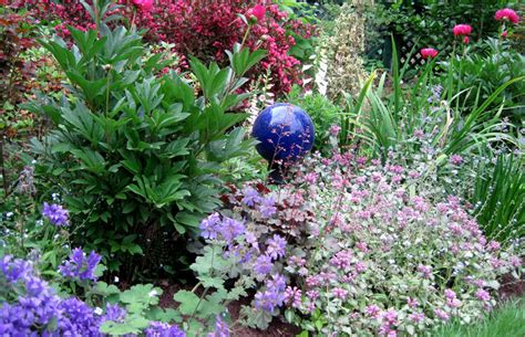Zone 6 features many plants ideal for gardening and landscaping. I'd Rather Be Blue: 10 Blue Perennials for Your Garden ...