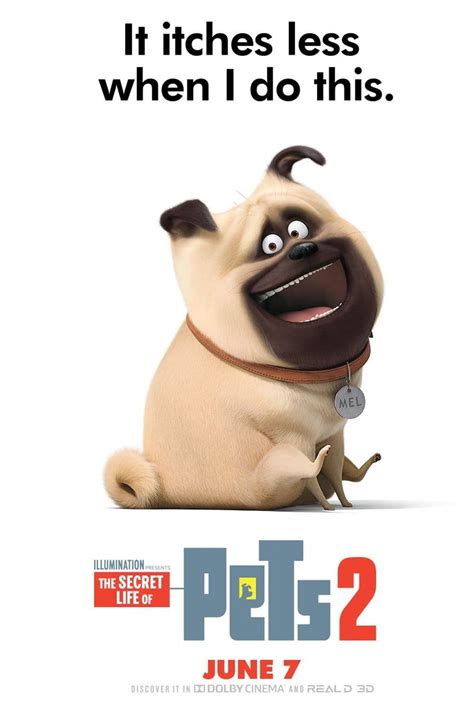 The secret life of pets 2 rated pg for adorable animals in occasional peril, and a brief. The Secret Life of Pets 2 DVD Release Date | Redbox ...