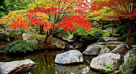 Japanese Gardens Seattle Wa By Bob Shupe Redbubble