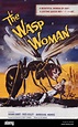 The wasp woman hi-res stock photography and images - Alamy