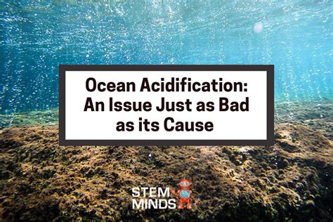 Ocean Acidification An Issue Just As Bad As Its Cause STEM MINDS
