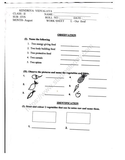 Cbse Class 2 Evs Practice Our Food Worksheet Set B