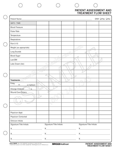 Patient Assessment And Treatment Sheet