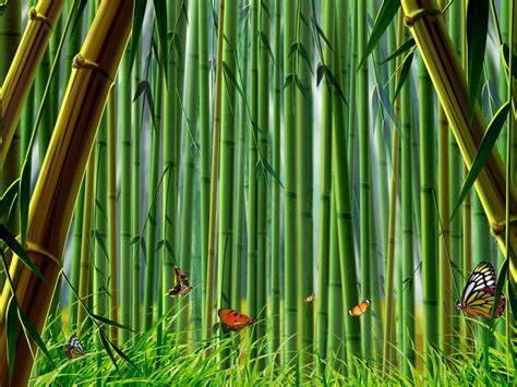 Bamboo Wallpaper Bamboo Wallpapers Collection 20 30